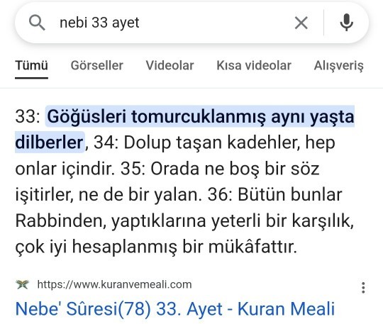 Sorgulayan insan : Nebe suresi 33 ?