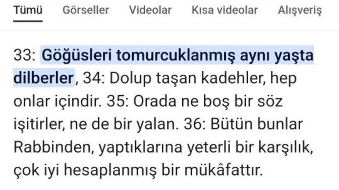 Sorgulayan insan : Nebe suresi 33 ?