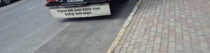 Arabanızın arkasına ne yazdırırsınız?