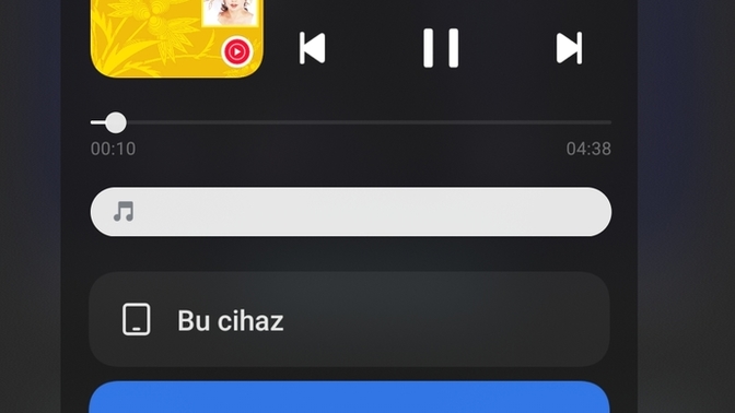 Sevginize zalimlik yapan oldu mu?