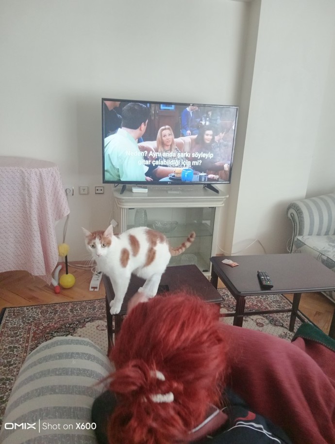 Dizi Önerilerinizi Dikkate Alırlarmı?
