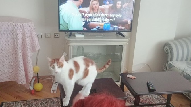 Dizi Önerilerinizi Dikkate Alırlarmı?