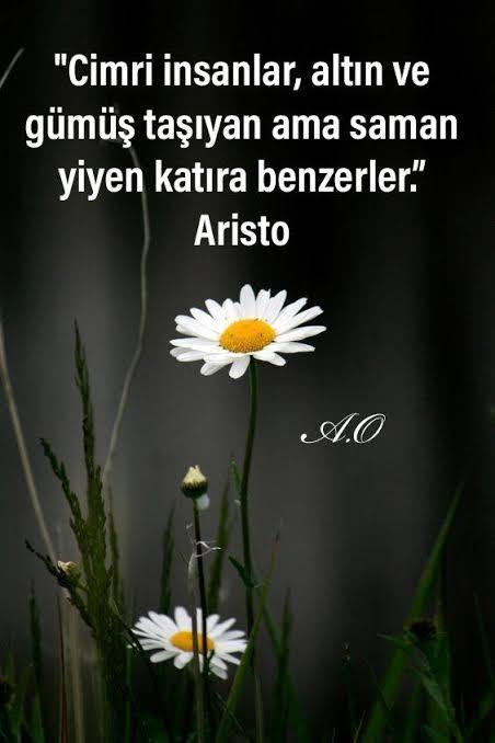 Zenginler neden cimri?