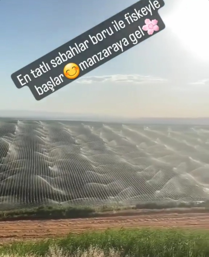 Kim demiş en tatlı sabahlar çokokremle başlar?