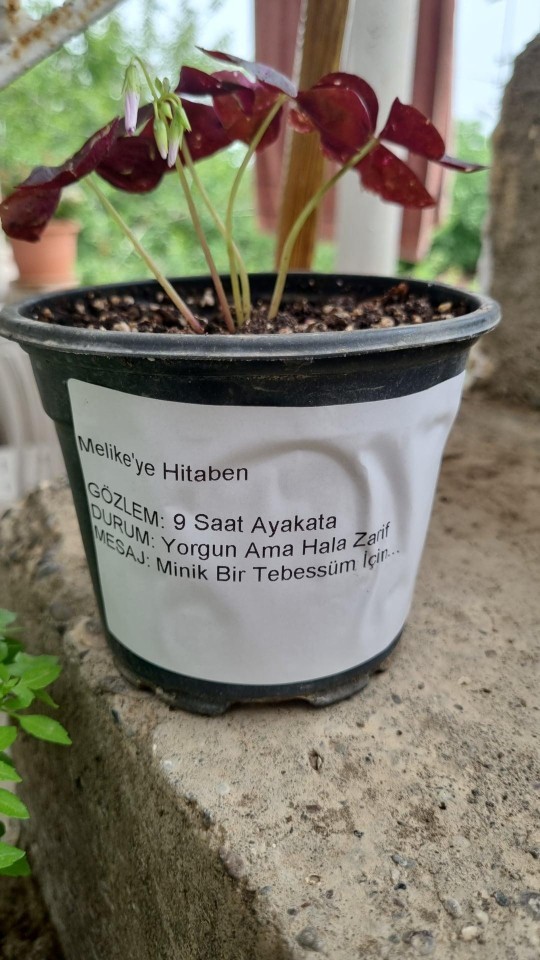 Bir kıza böyle hediye verdim çok hoşuna gitti bana değer verir mi?