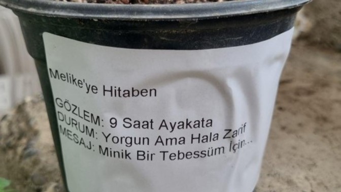 Bir kıza böyle hediye verdim çok hoşuna gitti bana değer verir mi?