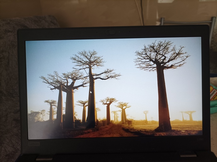 Laptopu 1 2 haftadır acmiyodum?