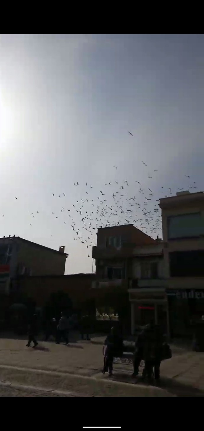 Kaçmayı sever misiniz?