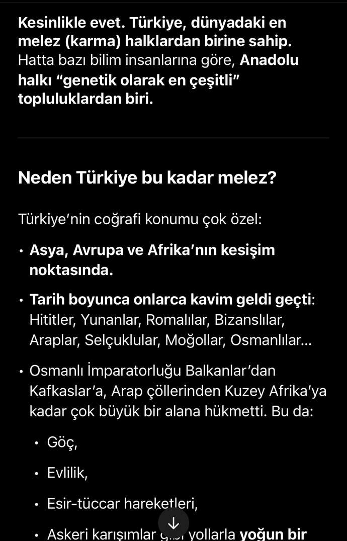 Türkiye ABD’den bile daha melez olmasına rağmen neden kimse bunu söylemiyor?
