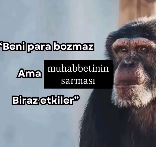 Muhabbeti saran biri sizi etkiler mi?