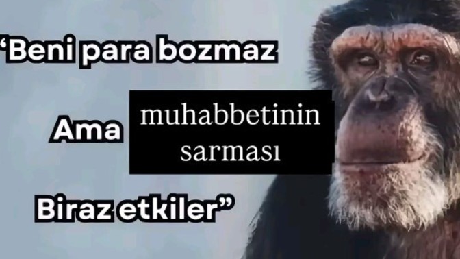 Muhabbeti saran biri sizi etkiler mi?