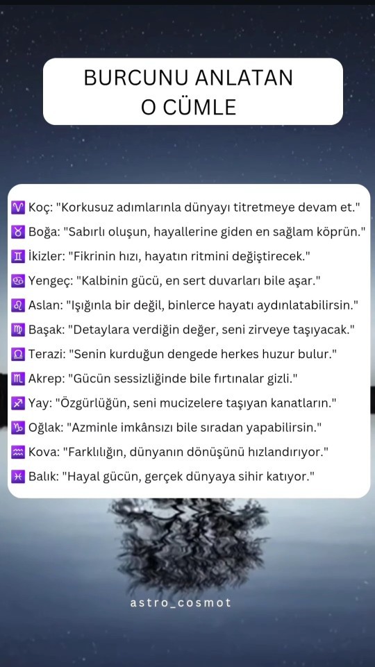 Seni anlatan o cümle hangisi?
