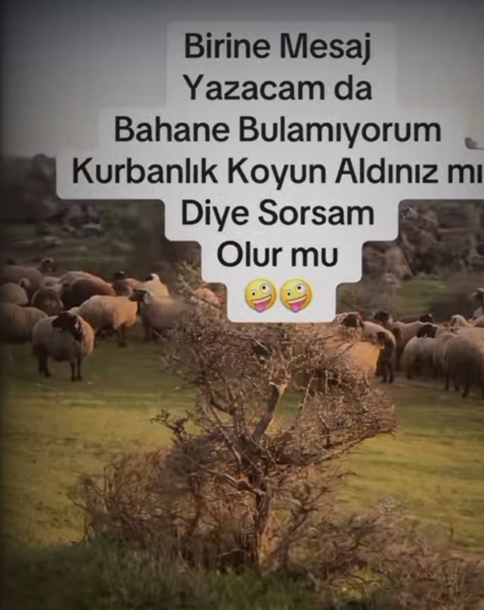 Napsam sorsammı acaba😂?