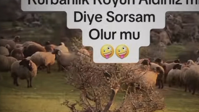 Napsam sorsammı acaba😂?