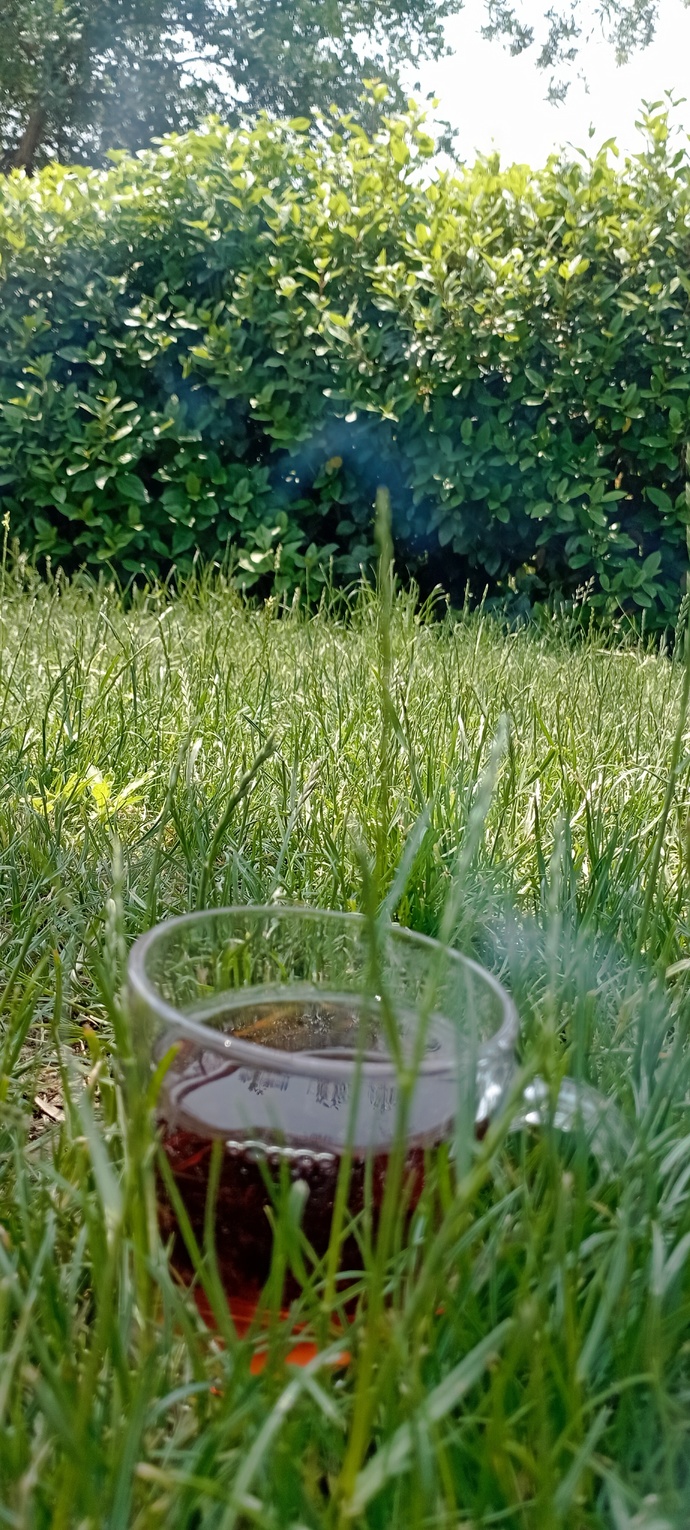 Ne yapıyonuz cemaat 😄?