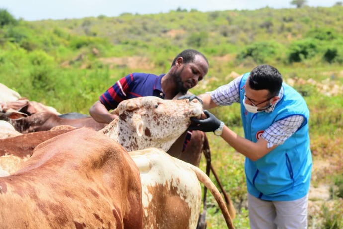 Şimdi ülkede ufak baş 12 binden başlıyor. Somali için ise 4500 tl isteniyor. Burada kurban kesenler daha mı çok sevaba giriyor?