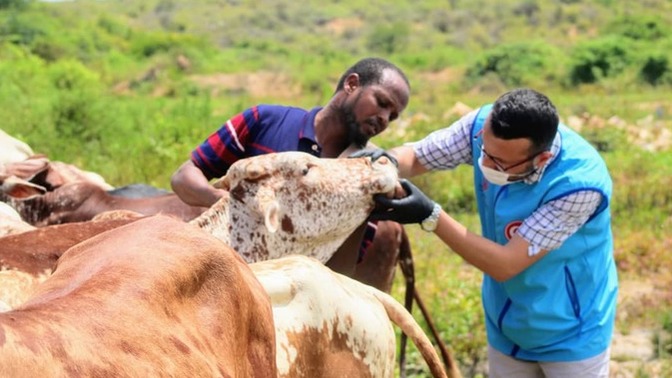 Şimdi ülkede ufak baş 12 binden başlıyor. Somali için ise 4500 tl isteniyor. Burada kurban kesenler daha mı çok sevaba giriyor?