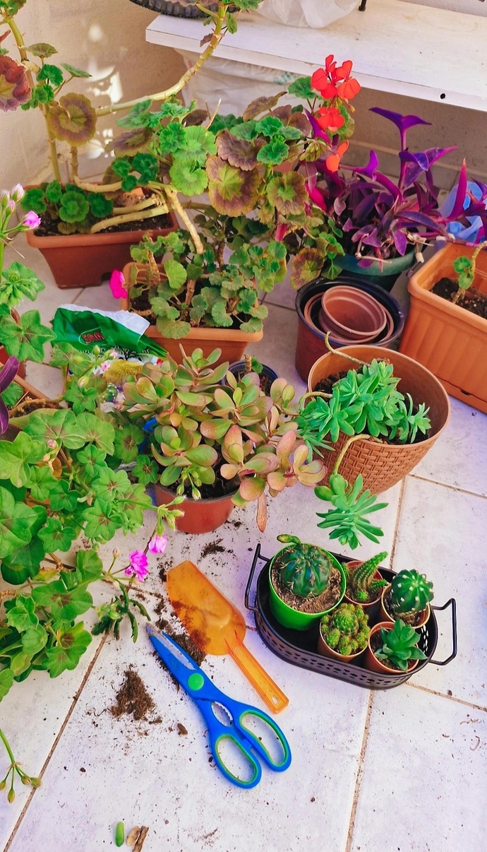Ruhuna iyi gelen o küçük ama etkili şey nedir?