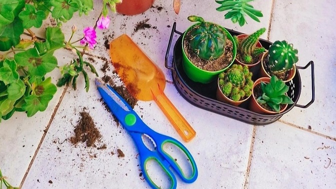 Ruhuna iyi gelen o küçük ama etkili şey nedir?