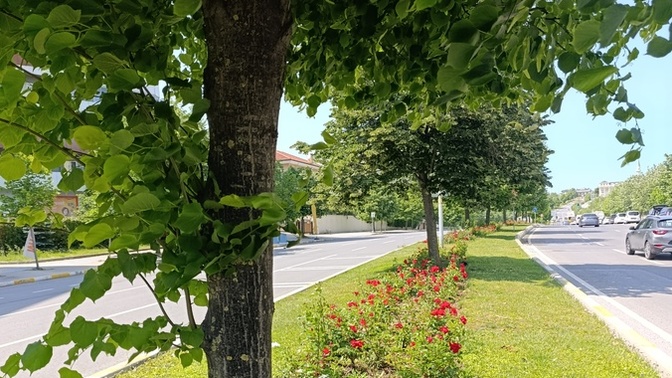 Bu fotoğraf nasıl olmuş, arkadaşlar?