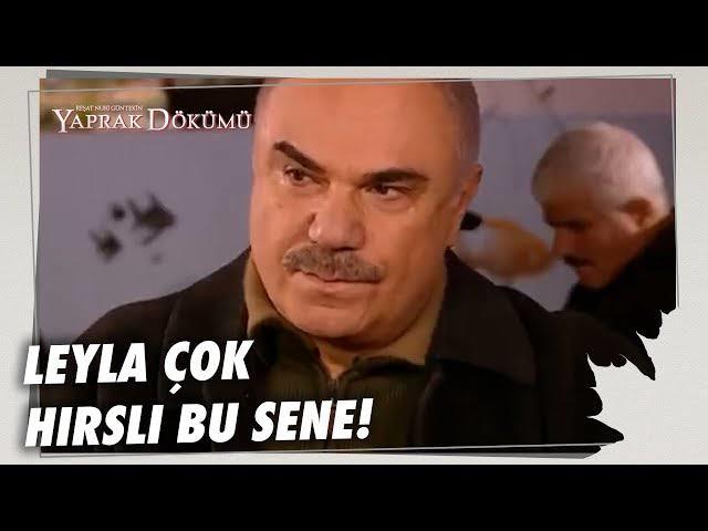Yaprak Dökümündeki Leyla gibi sınavlara hırsla hazırlandığınız oldu mu?