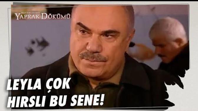 Yaprak Dökümündeki Leyla gibi sınavlara hırsla hazırlandığınız oldu mu?