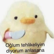 Cool ve umursamaz p.. içler neden doğal neşeli özgüvenli kızları saf görür://?