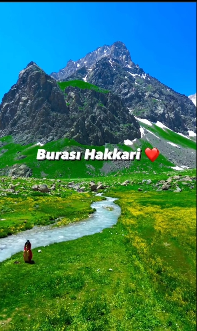Örnek