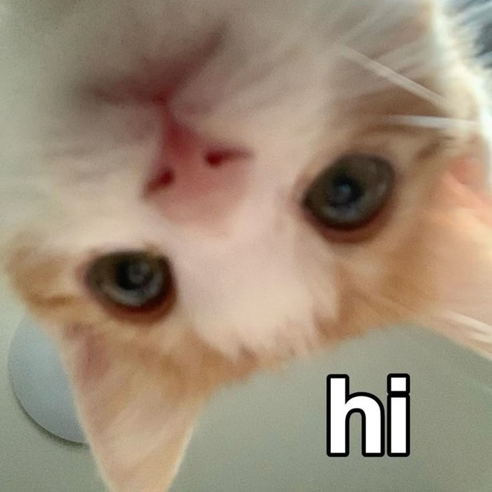 Hiiiiiii nabersinizzz?