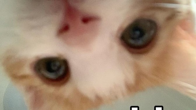 Hiiiiiii nabersinizzz?