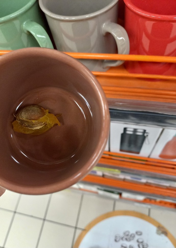 Migrosta karşılaştığım bu manzara hakkında ne düşünüyorsun?