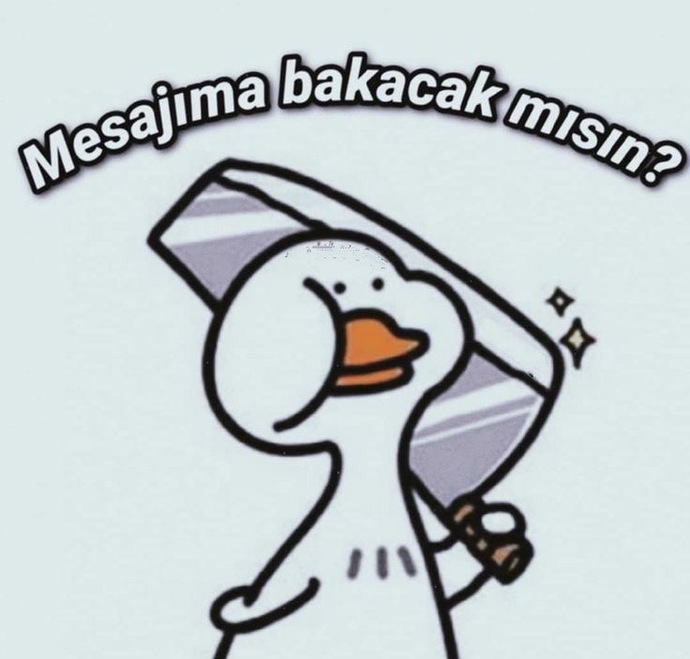 Bana asla cevap vermez” dediğiniz birine mesaj attınız mı? Ne oldu sonra?😀?