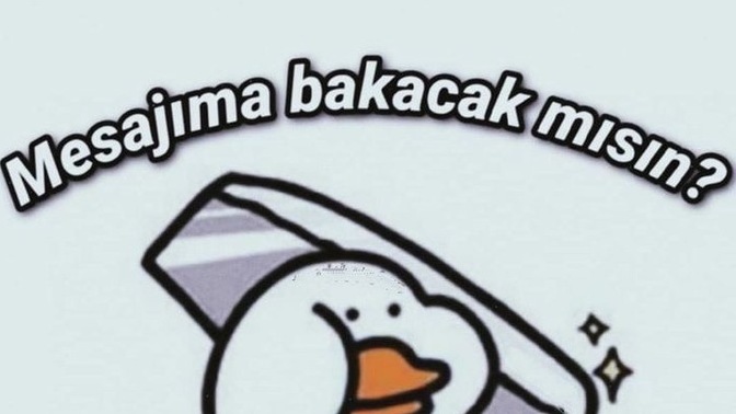 Bana asla cevap vermez” dediğiniz birine mesaj attınız mı? Ne oldu sonra?😀?