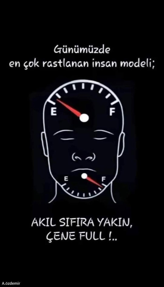 Günümüzde en sık bulunan zeka modeli?
