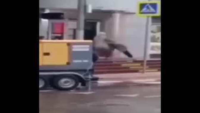 En büyük aşklar kavga ile mi başlar?