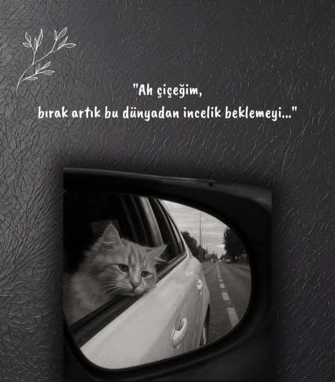Ben bunları haketmemiştim dediğiniz oluyor mu?
