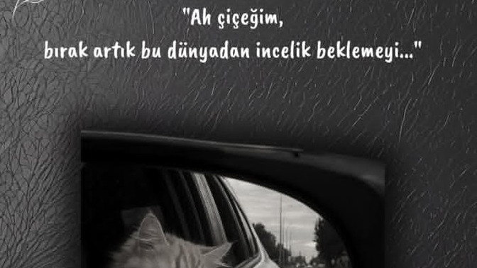 Ben bunları haketmemiştim dediğiniz oluyor mu?