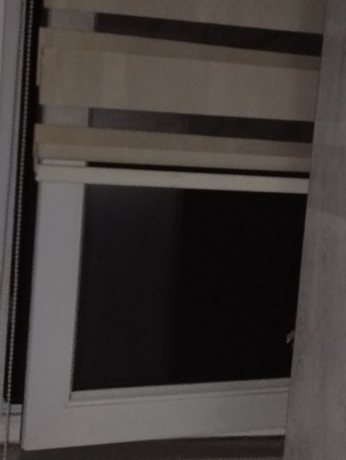 Büyük Hamam böcekleri var mahallede camımı çok az bile açsam girebiliyorlar uyuyamıyorum napmalıyım?