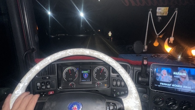 Sebze sever misiniz?