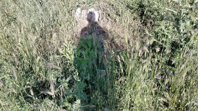 Şu an bulunduğunuz yerde bende olsaydım, ben ne yapıyor olurdum?
