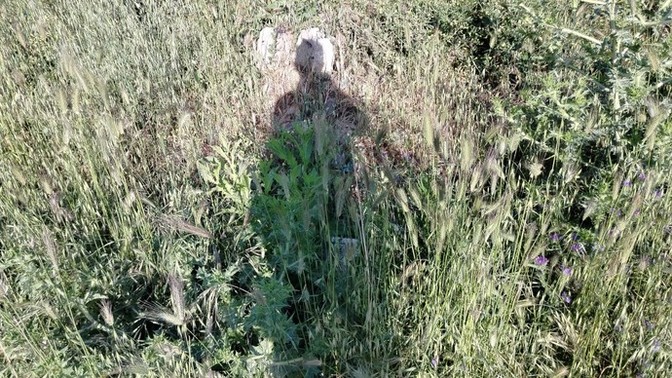 Şu an bulunduğunuz yerde bende olsaydım, ben ne yapıyor olurdum?