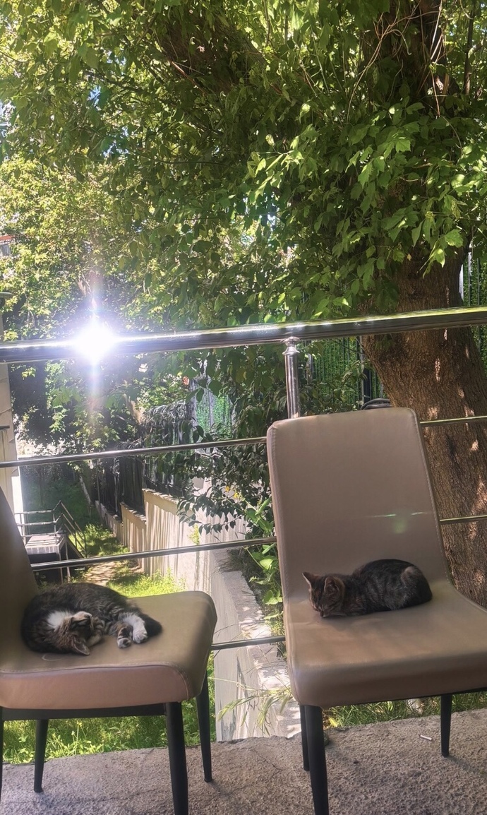 Günaydınlar ☀️ güne nasıl başladınız?