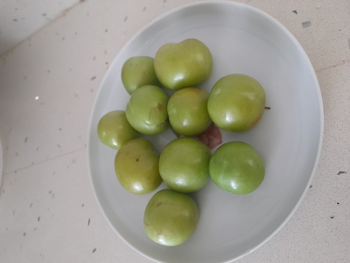 Siteden kiminle erik yemek isterdiniz?