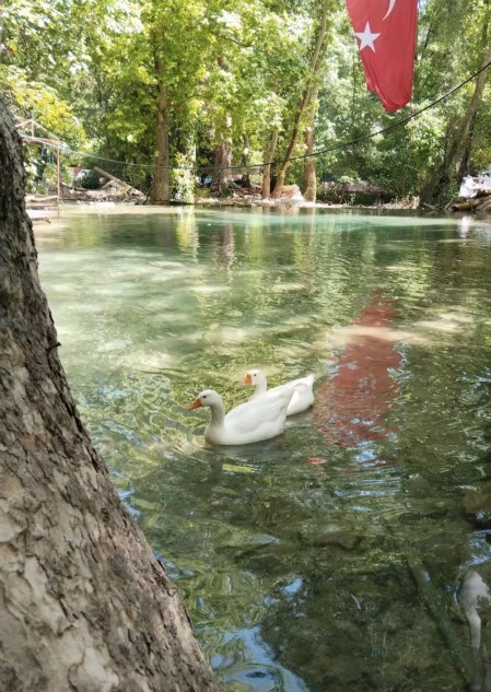 Dışarı da vakit geçirmeyi seviyor musunuz?