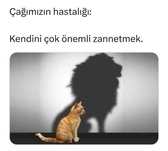 Kendinizi ne sanıyorsunuz?