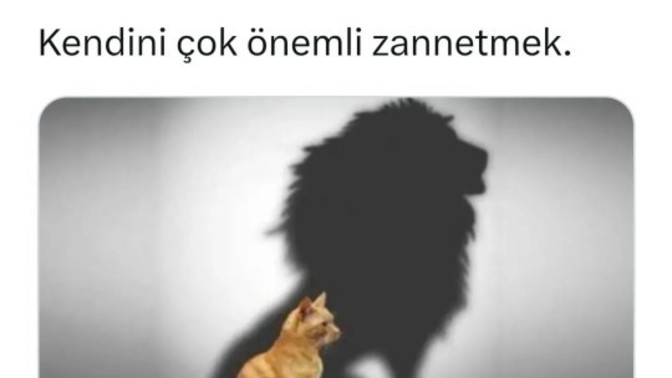 Kendinizi ne sanıyorsunuz?