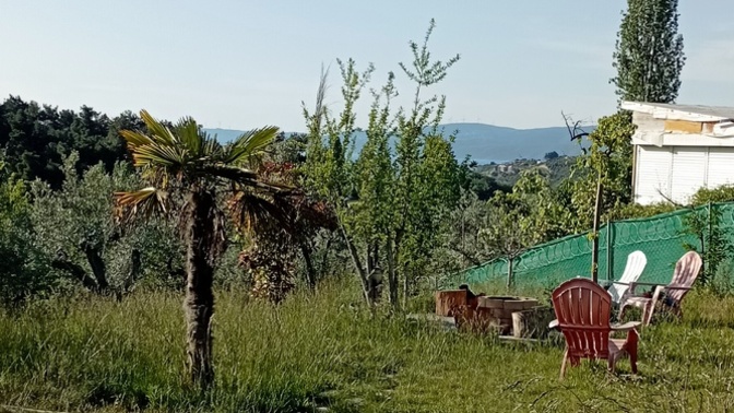 Hergün dışarı çıkar mısınız?