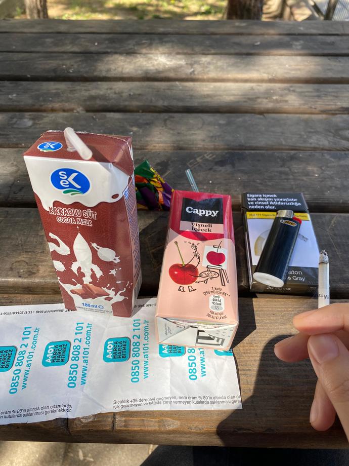 Sabah kendi kendime yaptığım piknik nasıl?