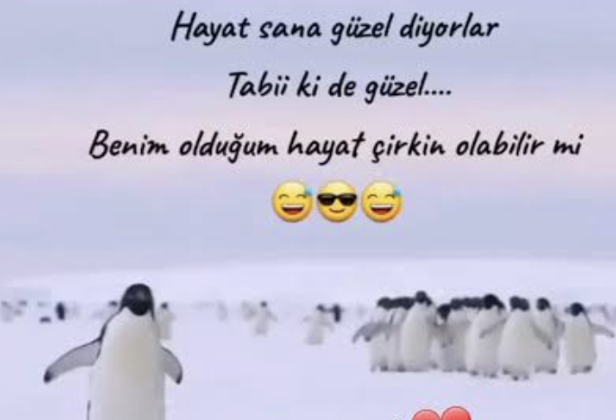 Zaman zaman kendinize iyi ki varım diyomusunuz?