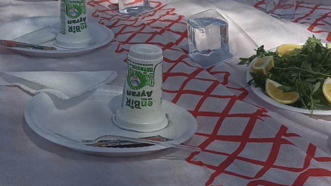 Havalar güzel olduysa piknik serüvenleri başladı mi?